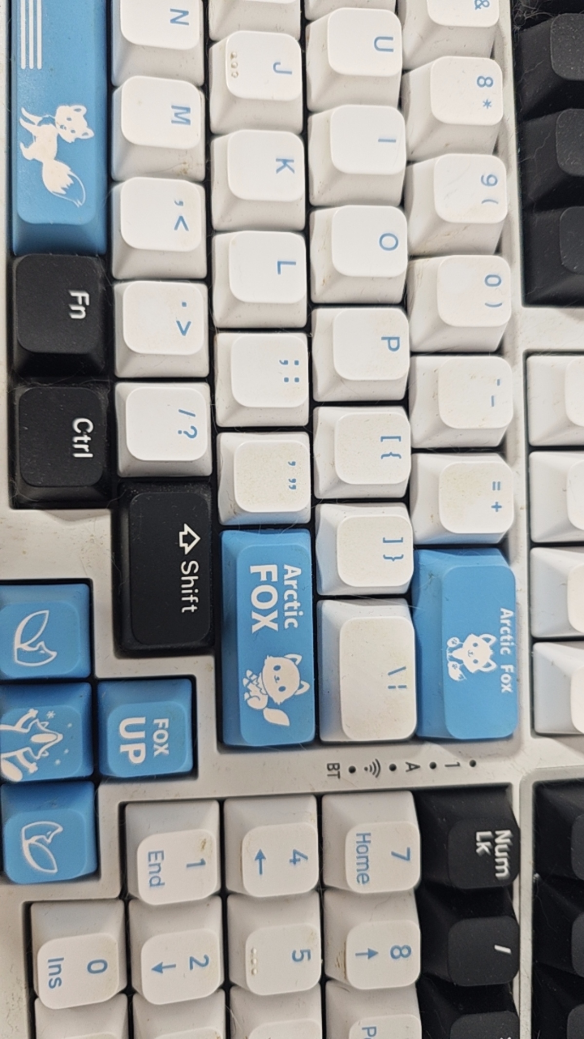 1730718092596.jpg